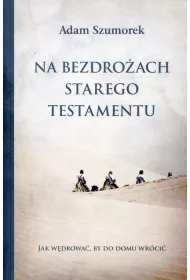 Na bezdro�ach Starego Testamentu