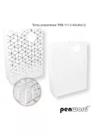 Penword Torebka prezentowa 40x30x12cm MIX
