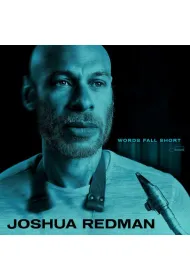Words Fall Short (vinyl)