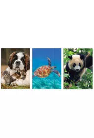 Herlitz Teczka A4 rysunkowa z gumk� Animals