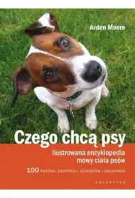 Czego chc� psy