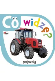 CO WIDZ� POJAZDY
