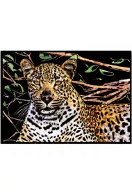 Twoje Hobby Leopard. Magiczna zdrapka - wydrapywanka 40.0 x 28.5 cm