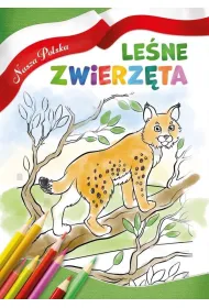 Nasza Polska. Le�ne zwierz�ta