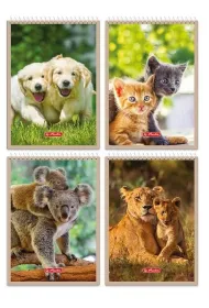 Herlitz Notatnik A6/40K kratka Animals