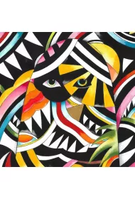 The Age Of Oddities (vinyl)