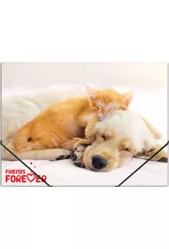 Panta Plast Teczka na gumk� A4 PP z nadrukiem Friends