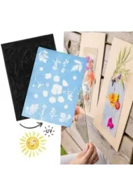 Esschert Design S�oneczny papier fotograficzny UV A4 6 szt