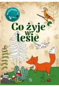 Co yje w lesie Kolorowanka