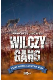 Wilczy gang i nowe historie Kazimierza N�ki