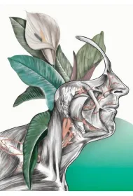 Plakat Floral head 54x651 mm