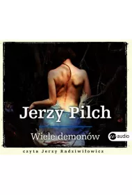 Audiobook Wiele demon�w mp3