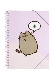 Skoroszyt A4 z gumk� Pusheen CFA405