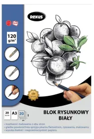 Beniamin Blok rysunkowy A3 Premium bia�y 20 kartek
