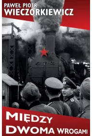 Mi�dzy dwoma wrogami