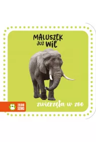 Maluszek ju� wie. Zwierz�ta w zoo