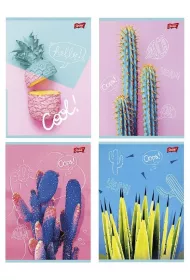 St. Majewski Zeszyt A5 Cacti kratka 60 kartek 10 szt.
