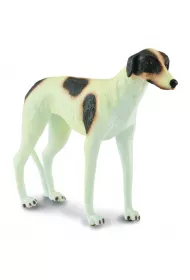 COLLECTA PIES RASY CHART ROZMIAR L BPZ-COLLECTA