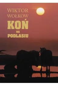 Ko� na Podlasiu