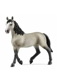 Klacz rasy cheval de selle francais