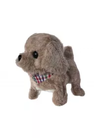Tw�j pupilek piesek Askato
