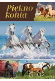 Pi�kno konia