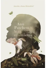 Stan zdumienia
