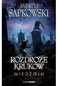 eBook Wiedmin. Rozdroe krukw epub