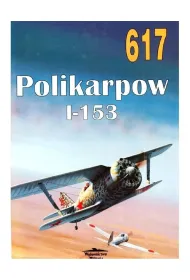 Polikarpow I-153. Tom 617