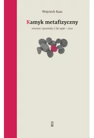 Kamyk metafizyczny