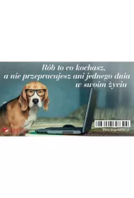 Bogulandia Magnes na lod�wk� - R�b to co kochasz?