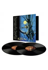 Fear Of The Dark (vinyl)