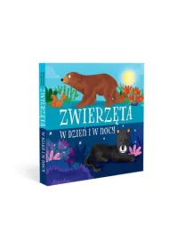 Harmonijka. Zwierzta w dzie i w nocy