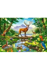 Puzzle 300 el. Le�na harmonia Castorland