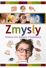 Zmys�y