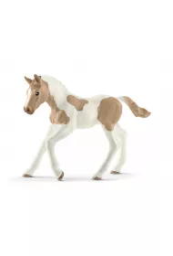 Ko� paint horse foal SLH13886
