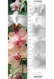 Worth Keeping Zak�adka 3D Orchidea