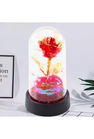 Wieczna R�a Kryszta�owa w Kopule z LED