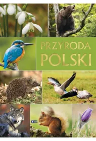 Przyroda Polski