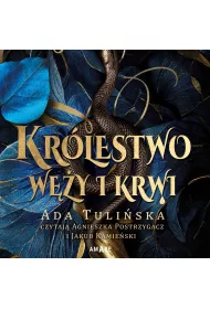 Audiobook Krlestwo wy i krwi mp3
