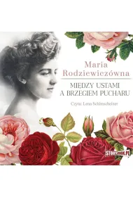 Audiobook Midzy ustami a brzegiem pucharu mp3