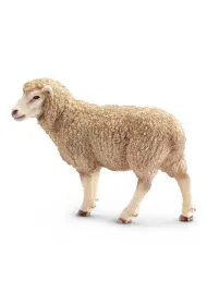 Owca