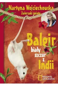 Balgir, bia�y szczur z Indii (OT) * *