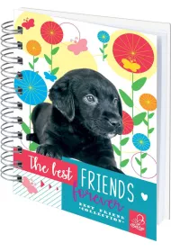 Bee-bee Notes A6 na spirali Best Friend