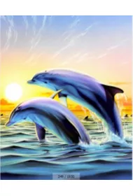 Norimpex Malowanie po numerach. Delfin 40 x 50 cm