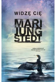 eBook Widz� ci�. Inspektor Anders Knutas. Tom 15 mobi epub
