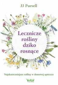 Lecznicze ro�liny dziko rosn�ce. Najskuteczniejsze ro�liny w domowej apteczce