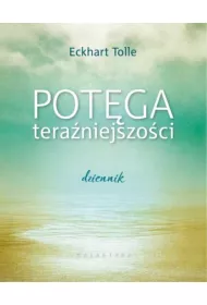 Potga teraniejszoci. Dziennik