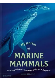 Mysteries of Marine Mammals. An Illustrated Guide to Whales, Dolphins, and Porpoises