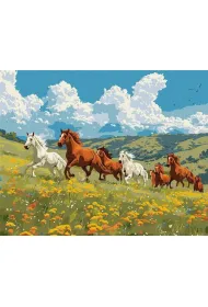 Ideyka Malowanie po numerach - Si�a i wdzi�k 40x50cm